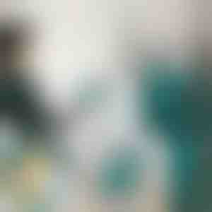 Мини парно железо | FERROLITE