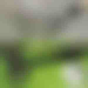 Алатка за отстранување плевел во стоечка положба | RUNCO