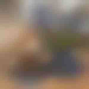 Склоплива 2 во 1 чинија за храна и вода за домашни миленици | WOOFDISH