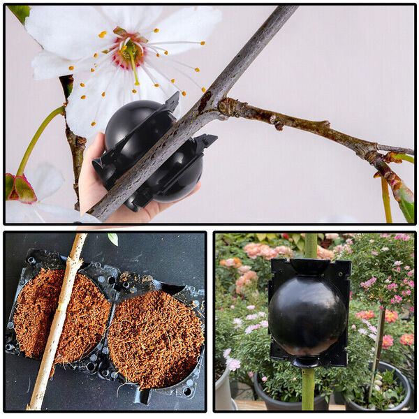 Еколошки и повторно употребливи