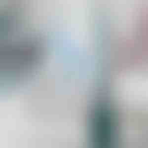 Четка за тоалет со вграден дозатор за чистење | FLUSHBRUSH