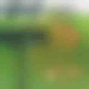 Ултразвучен уред за одбивање штетници | SONICFIELD