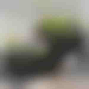 Кутија за градина | BOTANITKO