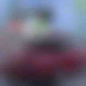 Покривка што спречува замрзнување на шофершајбната | CARCOVER