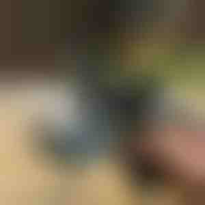 Уред за отстранување на прашина во моментот | JETRAZE