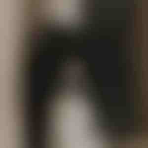 Моќен вентилатор за чист воздух | VENTORIS