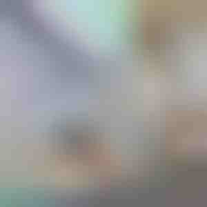 Декоративна и заштитна фолија за прозорци | PRISMWRAP