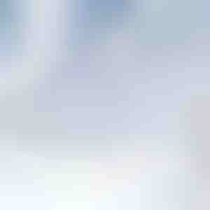 Магнетна прекривка за шофершајбна против снег | FROSTCOVER