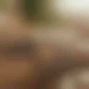 Магнетен леплив организатор за кабли | CABLIP