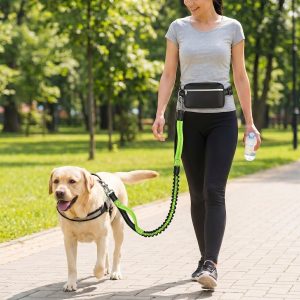 Нослива поводник за трчање со куче | DOGZIP